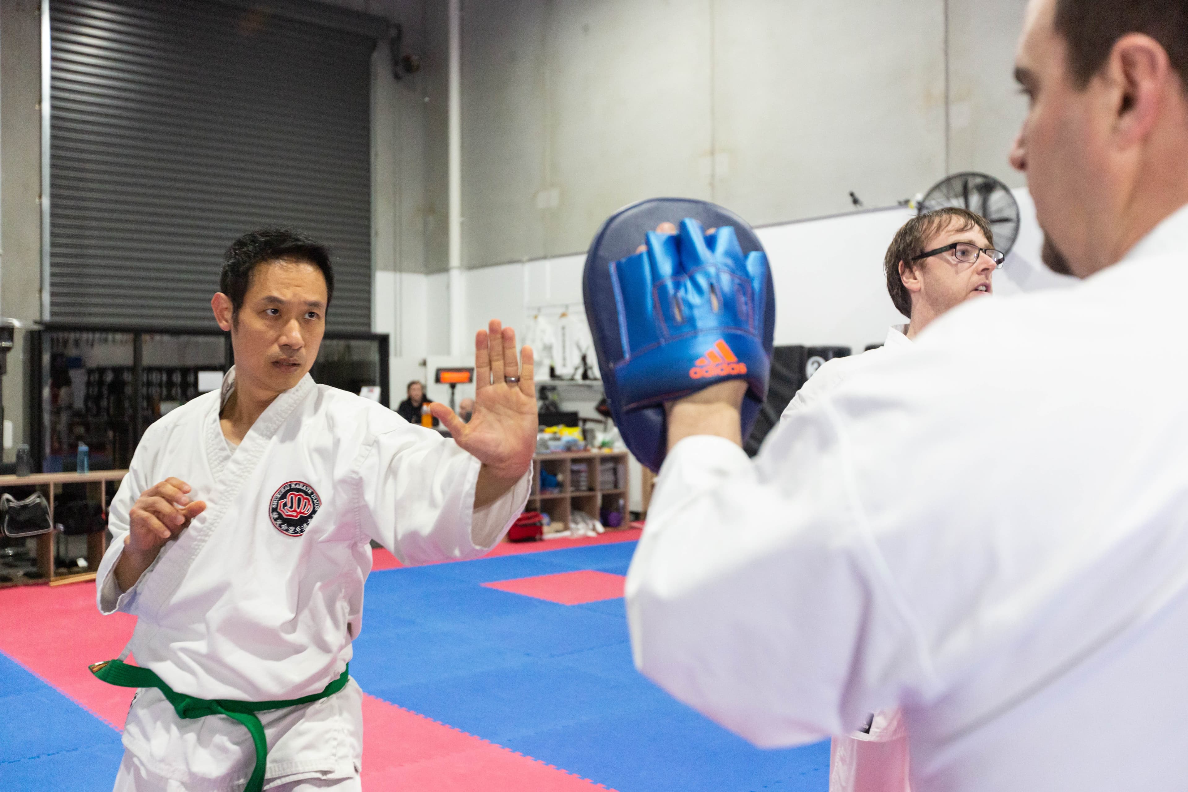 Adult Karate karate program