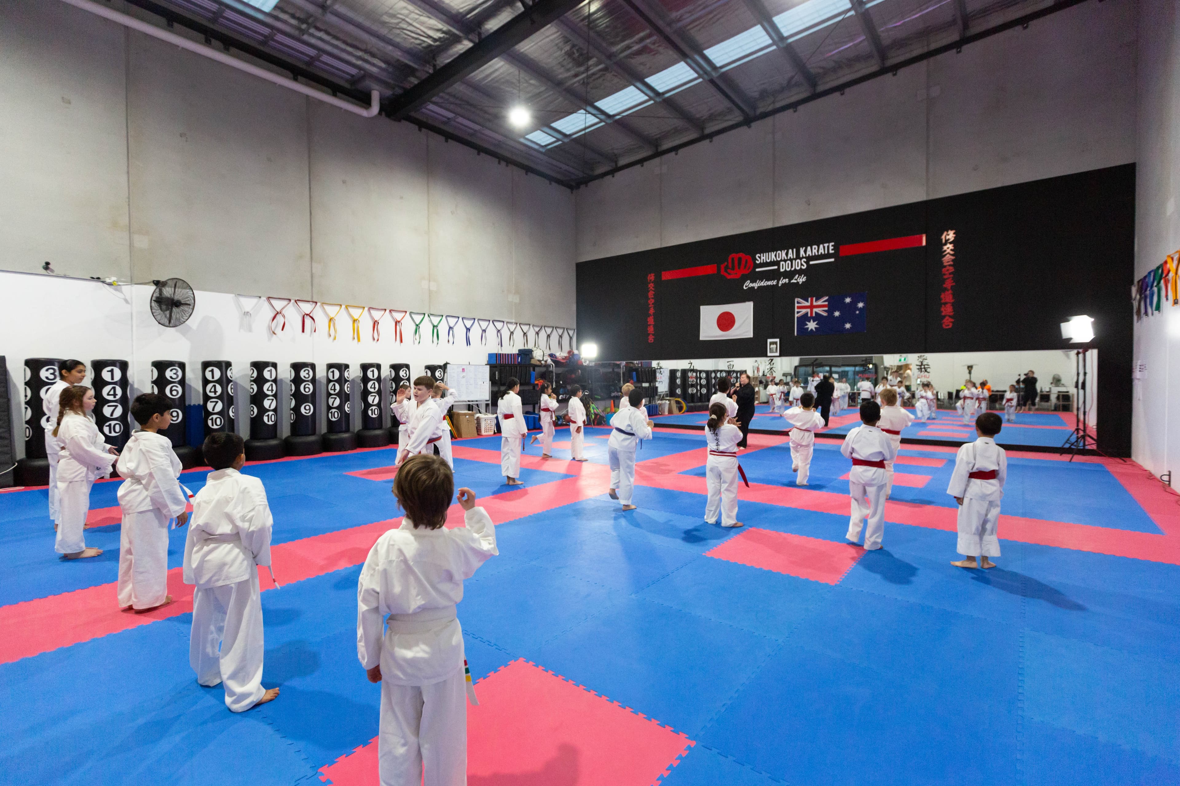 Kobudo โ Weapons karate program