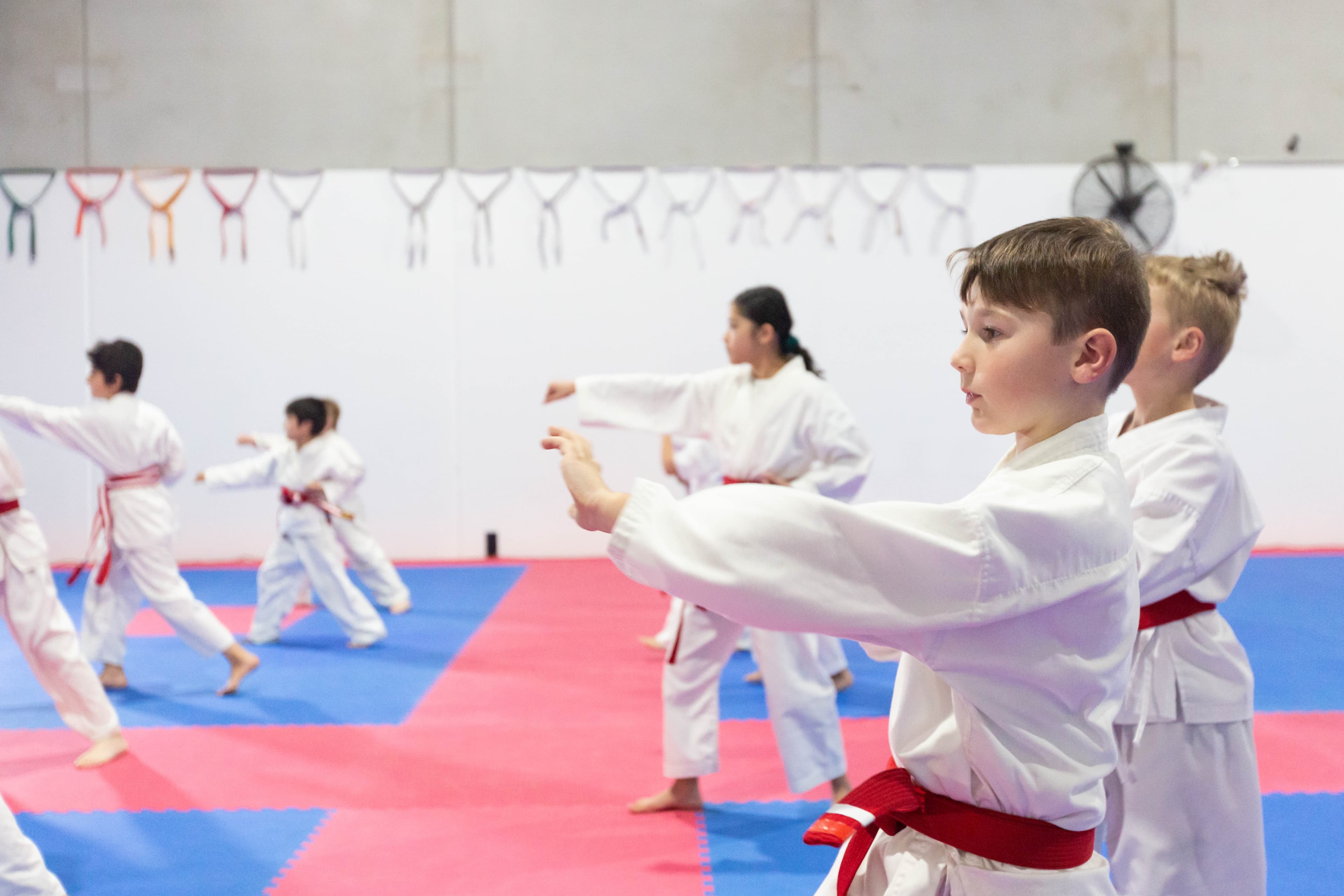 Junior Karate karate program at Shukokai Karate Cranbourne
