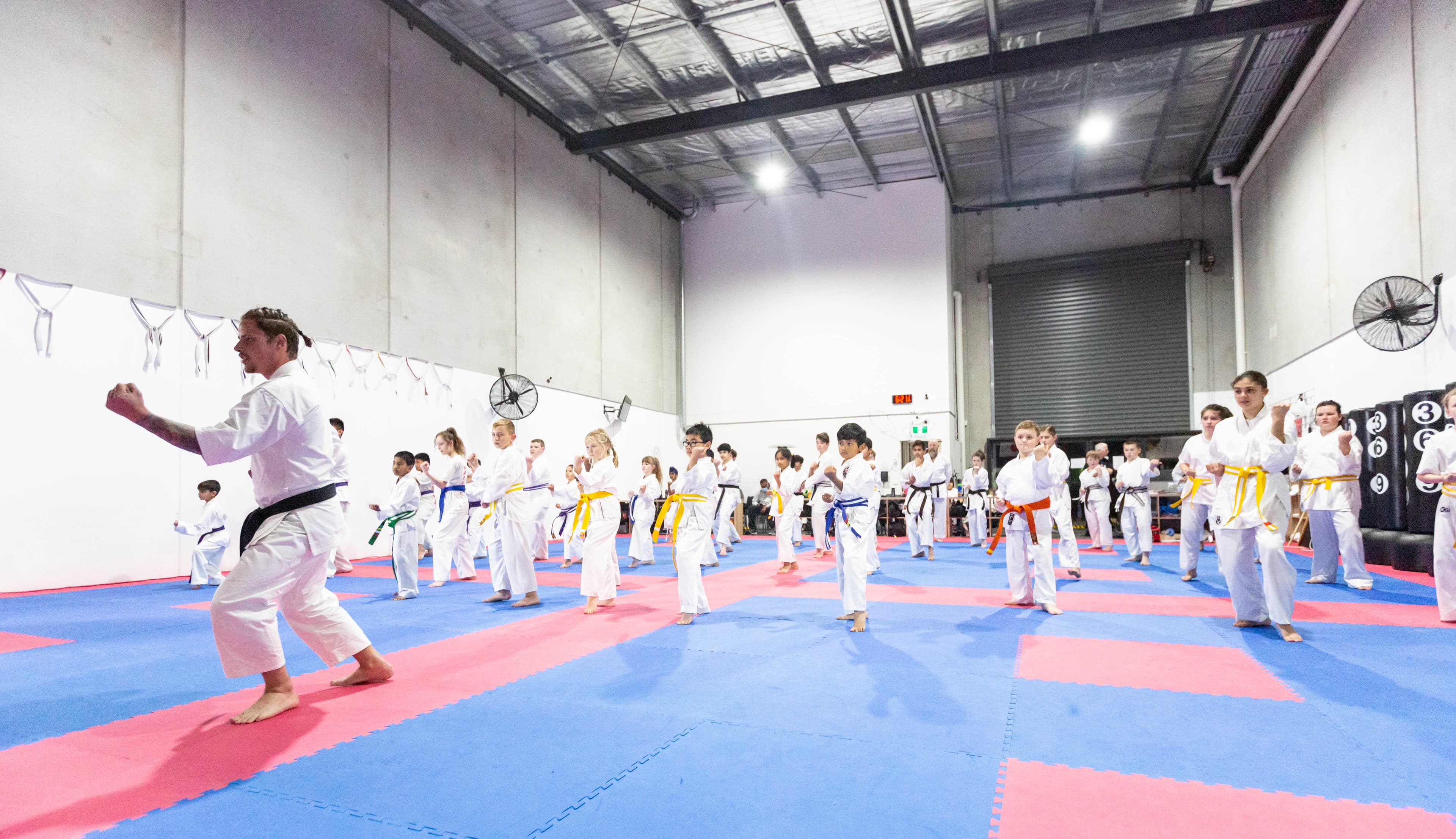 Mighty Samurais karate program